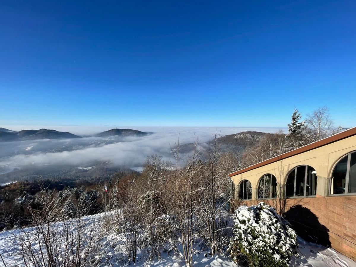 Appartement Eckberg Near Centre & Nature